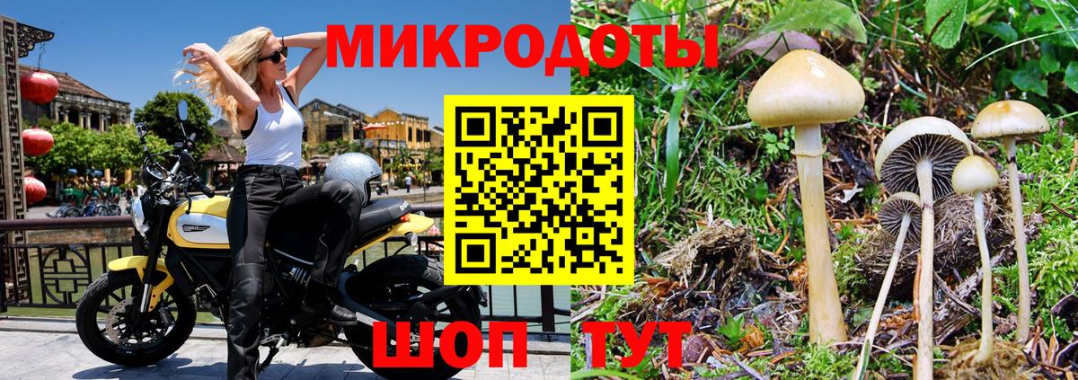 Псилоцибиновые грибы мухоморы  Псилоцибиновые грибы MAGIC MUSHROOMS  Вход с VPN  Элиста 
